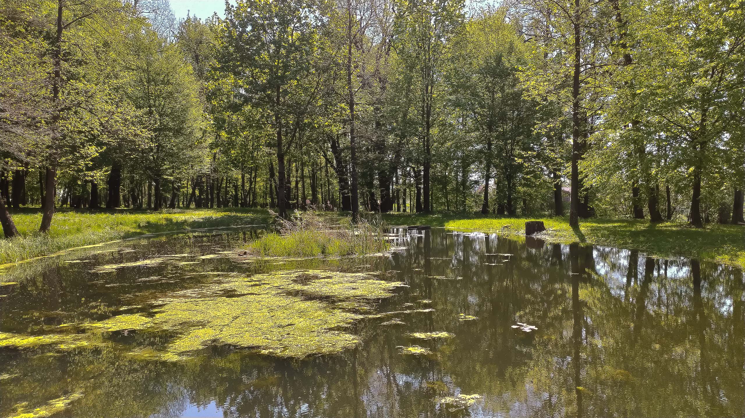 IMG 20200510 105558 kopia